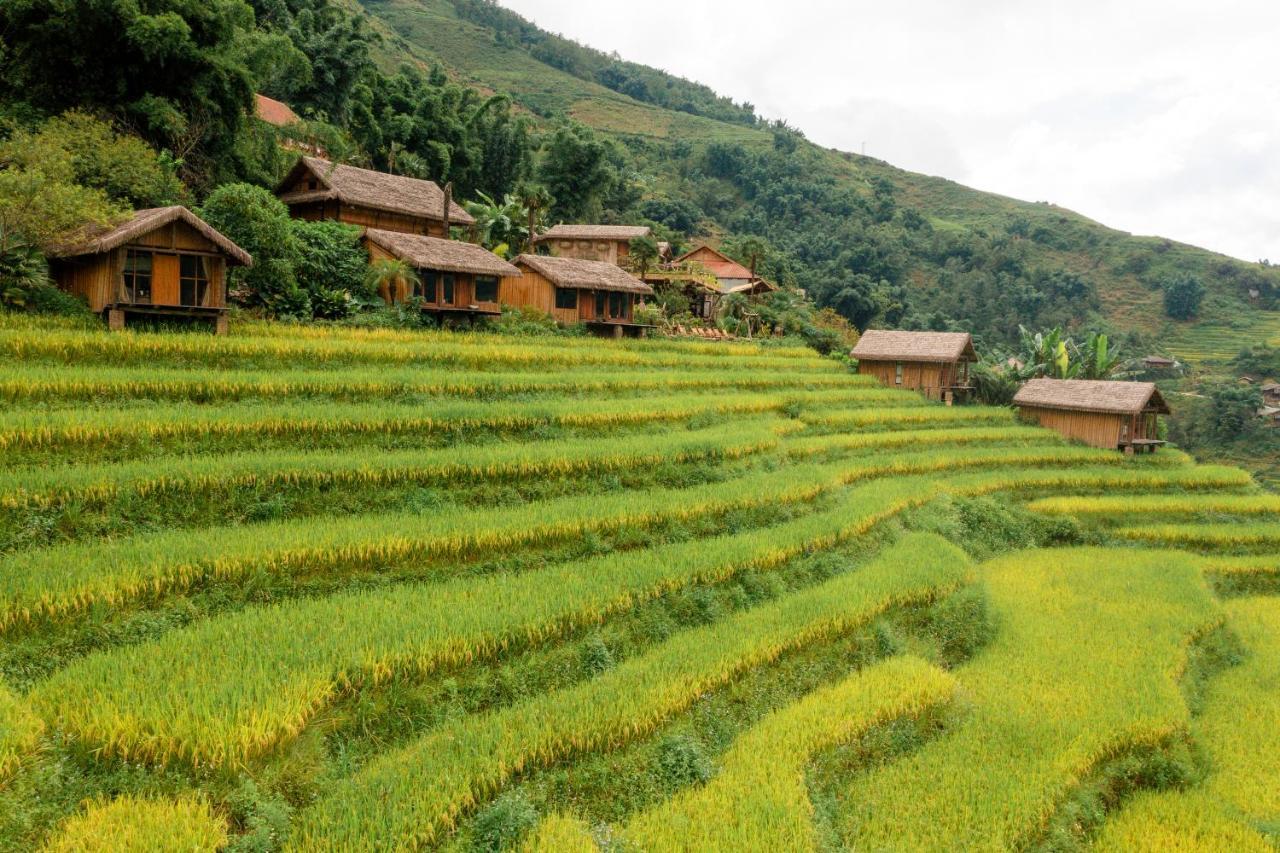 Eco Palms House - Sapa Retreat Hotel Exterior photo